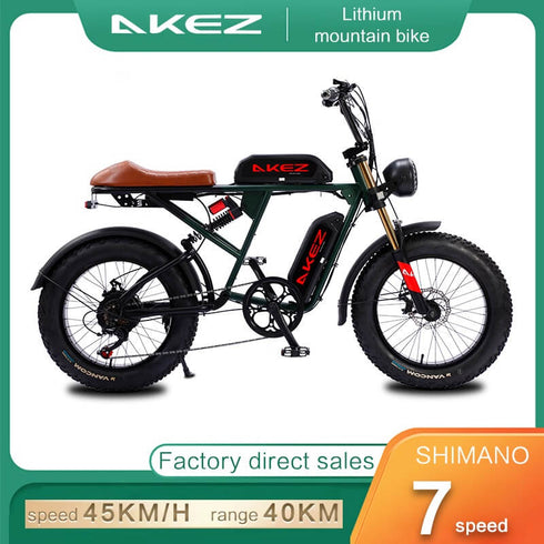 AKEZ Off-Road Electric Bike for Adults, Snow EBike, 7 Speed, 750W Motor, Detachable, 48V, 13AH Lithium Battery