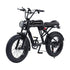 AKEZ Off-Road Electric Bike for Adults, Snow EBike, 7 Speed, 750W Motor, Detachable, 48V, 13AH Lithium Battery